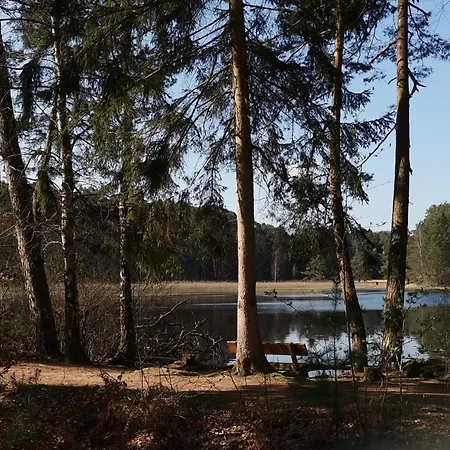 'blick Zur Madonna' Fischbach